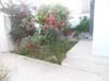 AV une trés belle villa entre hammamet et hammamet sud