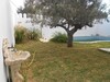AV une villa de superficie 335m à Hammamet