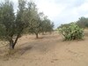 lot de 539 m pour construire villa de compagne a 5 km du centre