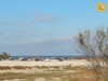 AV terrain à la plage de Sidi Mansour à Kélibia en 1ère position