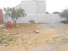 terrain clôturé à hammamet nord 90MD