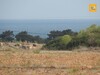 A vendre terrain agricole à Dar Allouch Kélibia