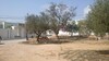 AV terrain 190 m à hammamet nord