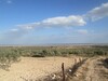 Field 1 hectare and 3000 m with sea view