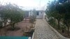 maison dans la campagne de hammamet de superficie 820m à 180 MD