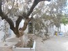 Home Arabic style AV in hammamet