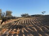 AV 2 hectares à 35 MD pas loin à hammamet nord