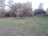 terrain 200 m AV dans la compagne de hammamet