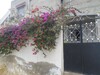 Belle maison dans une zone calme et sécurisé