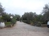 Villa avec grand terrain proche de Hammamet