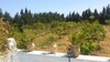 Av une ferme de deux Hectares dans la compagne de Hammamet
