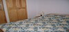 Studio furnished in Hammam Sousse