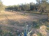 av un lot de terrain à Hammamet Nord Kharrouba