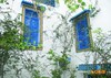 Villa Rania S+1 Hammamet Nord