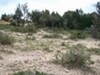 Terrain 1000m²