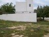Terrain 560m²