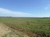 av 1 hectare situé à 5 km loin de Yasmine hammamet