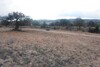 av 1 hectare situé à 4km du hammamet
