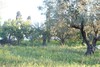 Terrain 1124m² VTA: 197