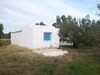 1hektar with studio