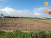A vendre un terrain pour un projet sur la route de la ceinture de