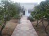 Avdre villa's Companion in hammamet