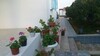 vila 370m Kelibia taxim