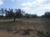av terrain de 1800m dans la compagne de hammamet sud