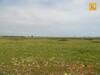 For sale a large lot of land in Ain Grenez Kelibia