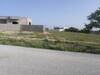 terrain de 500m a vendre dans la compagne de hammamet
