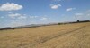 Terrain bouficha sur la route G Tunis sousse