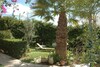 Villa Dove Baraket Ellis Hammamet
