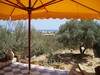 Villa Flower Mrezka route ceinture