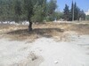 terrain de 191 m av à merzga hammamet