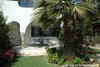 Villa Dove citizen Hammamet