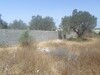 terrain de 400m proche de hammamet kt