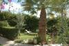 Villa Dove AA Baraket Essahel Hammamet