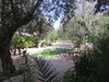 Villa L'Olivier Hammamet zone miramar