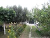 appartementement Zina Hammamet SUd