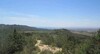 Terrain agricole A Hammamet