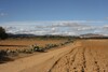 AV un terrain agricole a yassmin hammamet sor