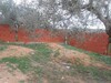 AV une maison de 200m a hammamet sor