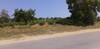 A plot of 1 Ha in the vicinity of Hammamet