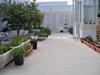 Villa et locaux Les Pins Hammamet Centre