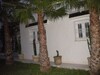 A villa in an orchard near Hammamet 1 990 000 DT