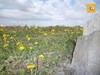 A vendre un terrain pour un projet d’animation