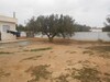 ne pas rater maison de 700m proche hammamet sud 90MD