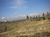 Des lots de terrains de 200 m 2 à Sidi Hammed à 16000 DT le lot