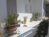 AV à hammamet maison plein pieds centre ville hammamet