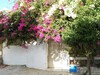 Villa Bougainvilliers-